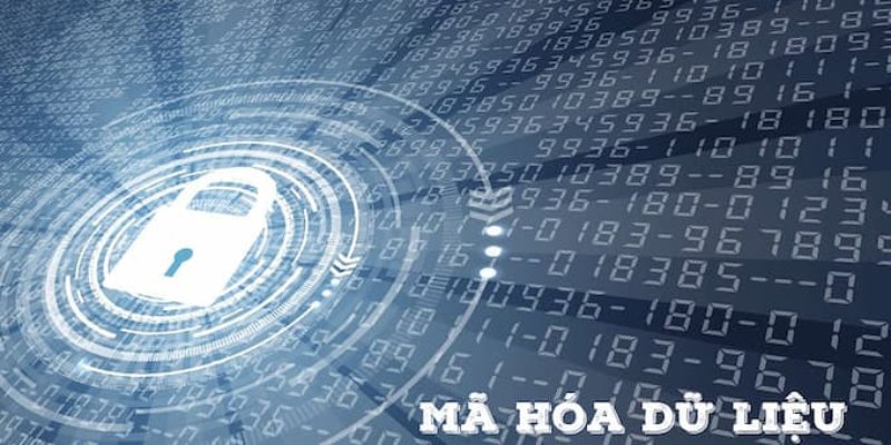 Mã hóa thông tin người dùng hiện đại giúp bảo mật dữ liệu tối đa khi cá cược