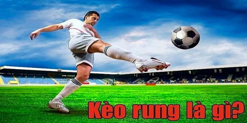 Kèo rung và tầm quan trọng trong cá cược cho bạn khi lựa chọn cá cược