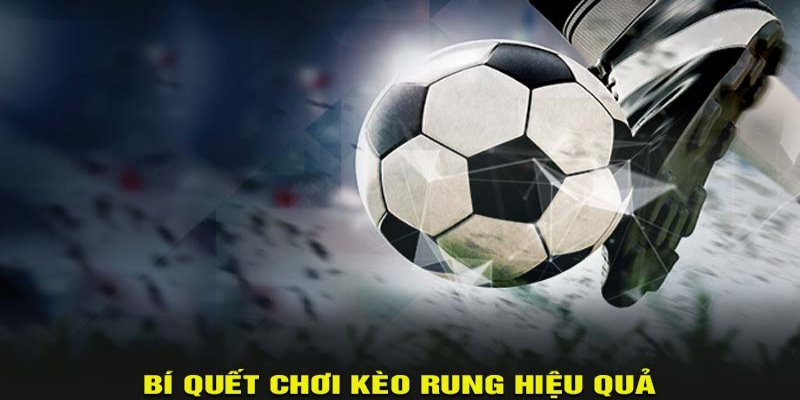 Biến động tỷ lệ cược và quyết định đặt cược là yếu tố cần hiểu khi cá cược