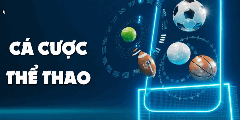 Thể thao 58Win trải nghiệm cá cược đỉnh cao sinh lời lớn